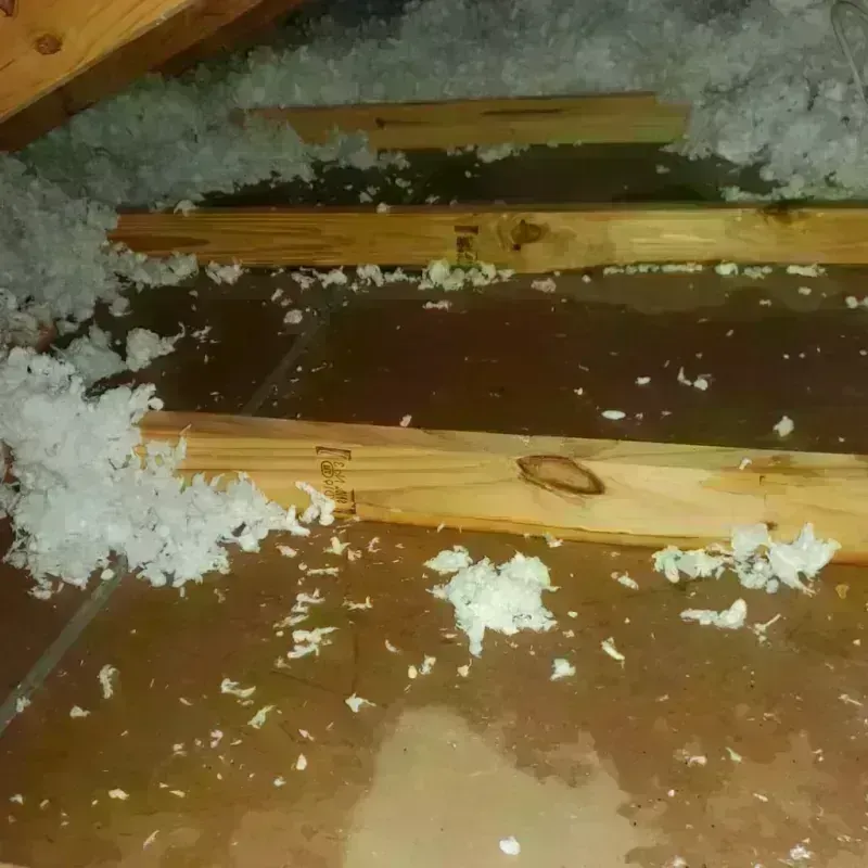 Attic Water Damage in Concord, AL