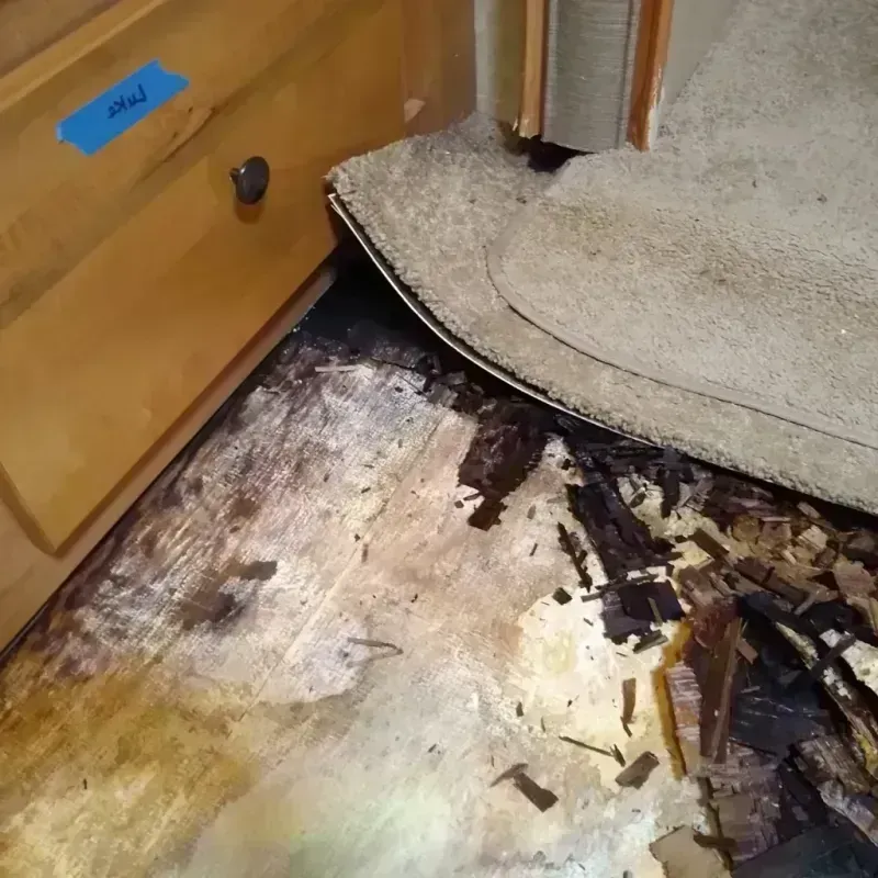 Wood Floor Water Damage in Concord, AL